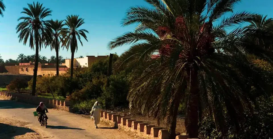 Circuit 3 jours Gafsa-Tozeur-Douz en 4x4 1